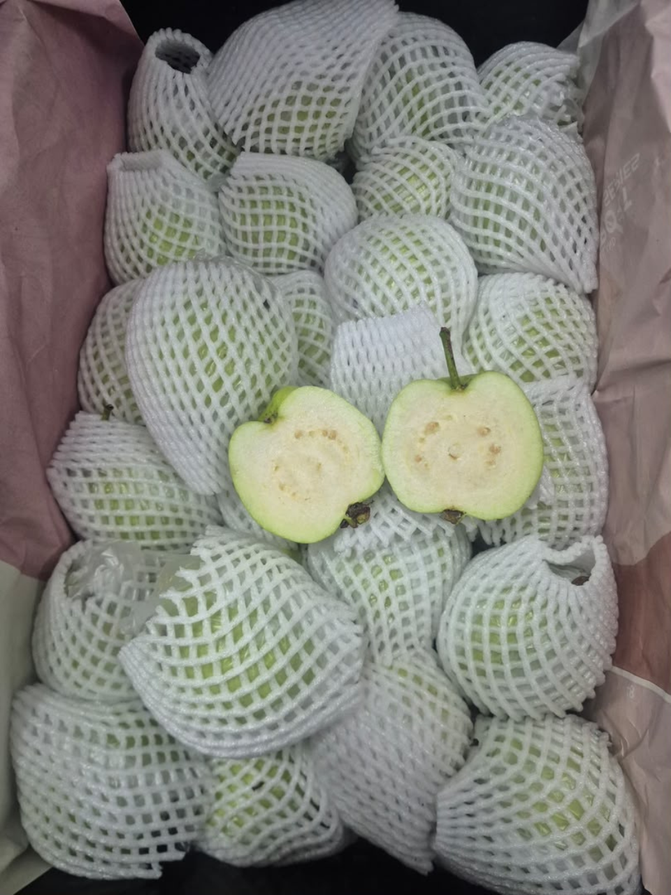 Premium Thai Guava 🇹🇭 Premium Thailand Jambu Batu