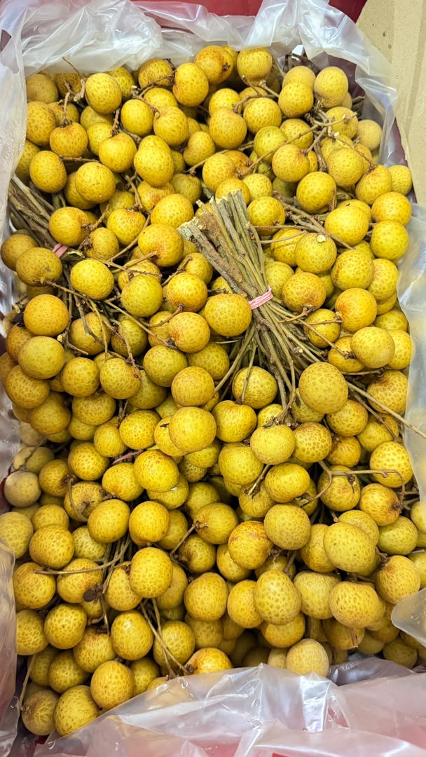 ffglobaltradingThailand Longan 泰国🇹🇭龙眼